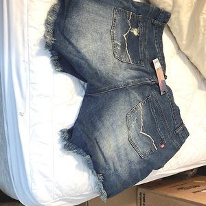 JEAN SHORTS BRAND NEW NEVER WORN 2x and xl